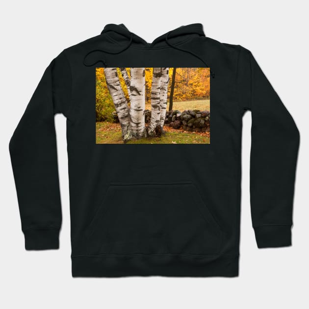 Fall Birch Hoodie by Eunice1